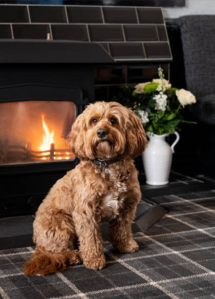 The Graham Arms Inn Log Fire